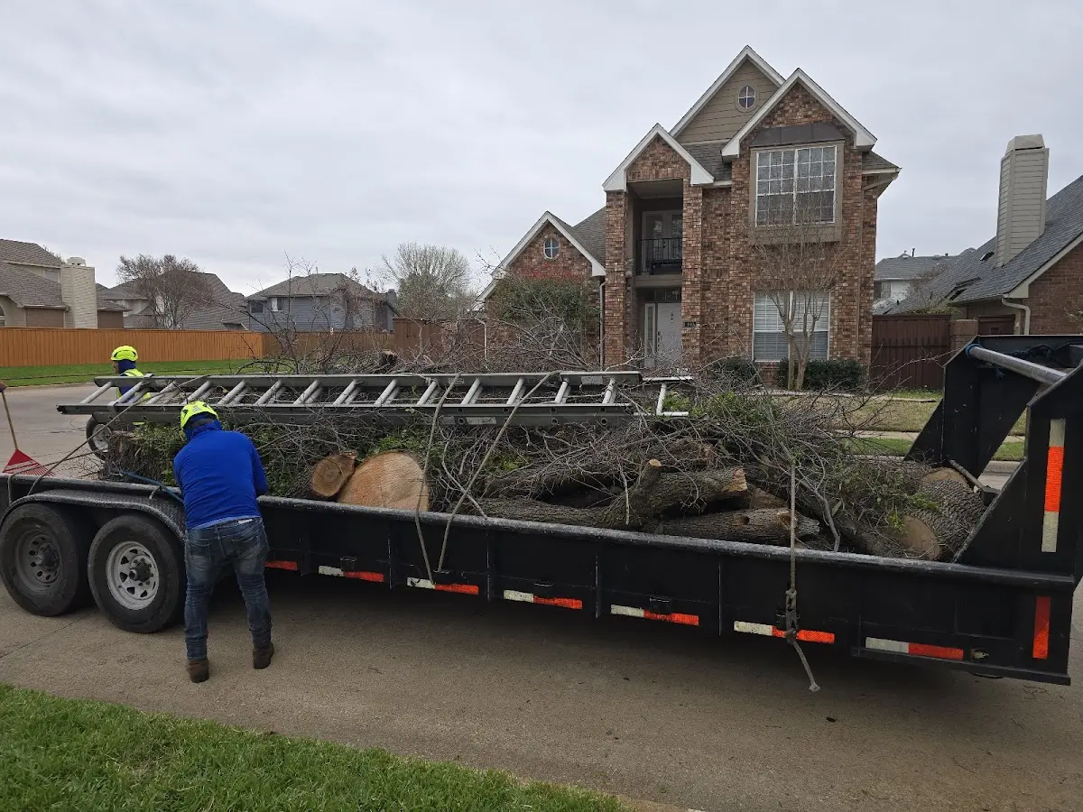 Expert Tree Fertilization with proper safety equipment in Elkins
